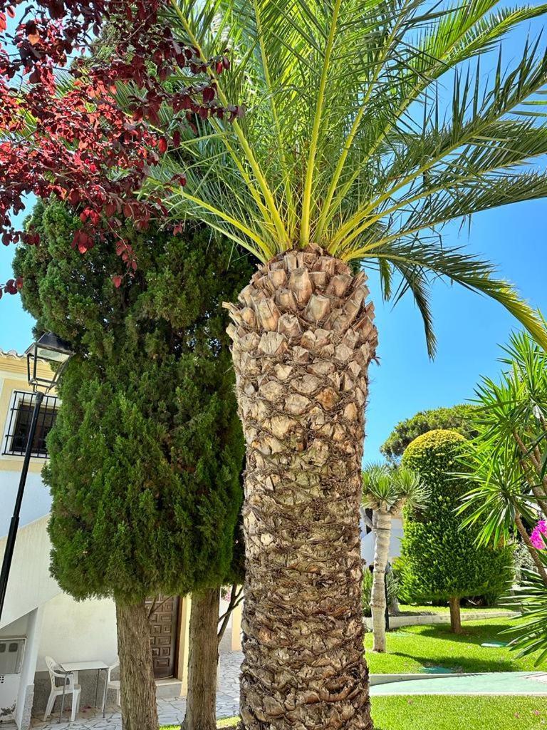 Casa De Familia Vera Coast 外观 照片